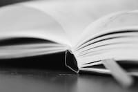 Diary of an Ending