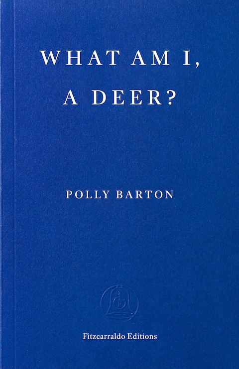 WHAT AM I A A DEER